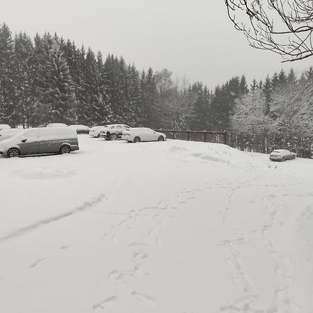 Apartman Berg Brcalnik Железна-Руда Экстерьер фото